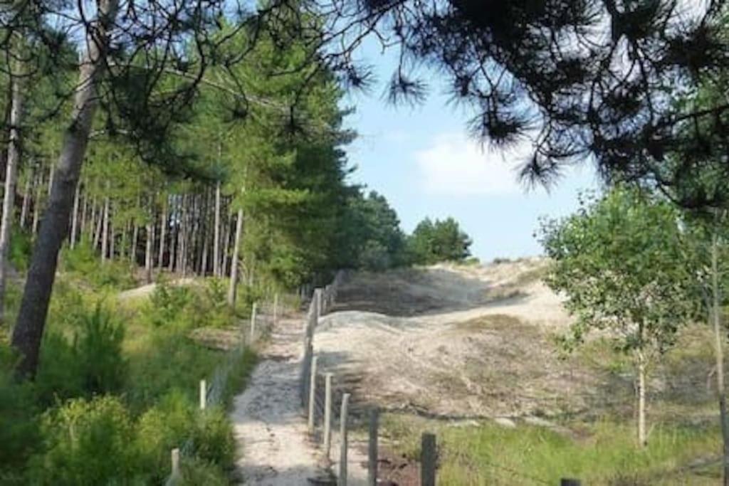Hamac Face Mer Berck Kültér fotó